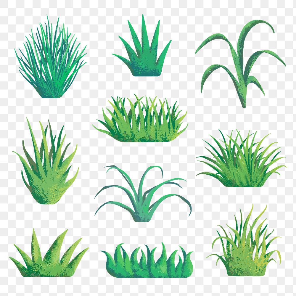 Grass png clipart, aesthetic nature design, transparent background set