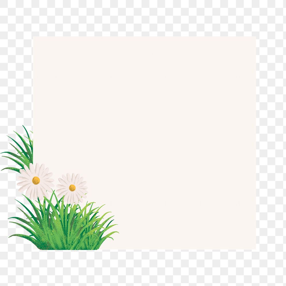 Daisy flower png frame background, simple nature design, transparent background