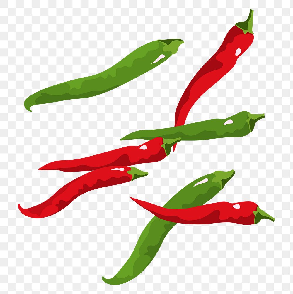 Chili png sticker, realistic illustration, transparent background