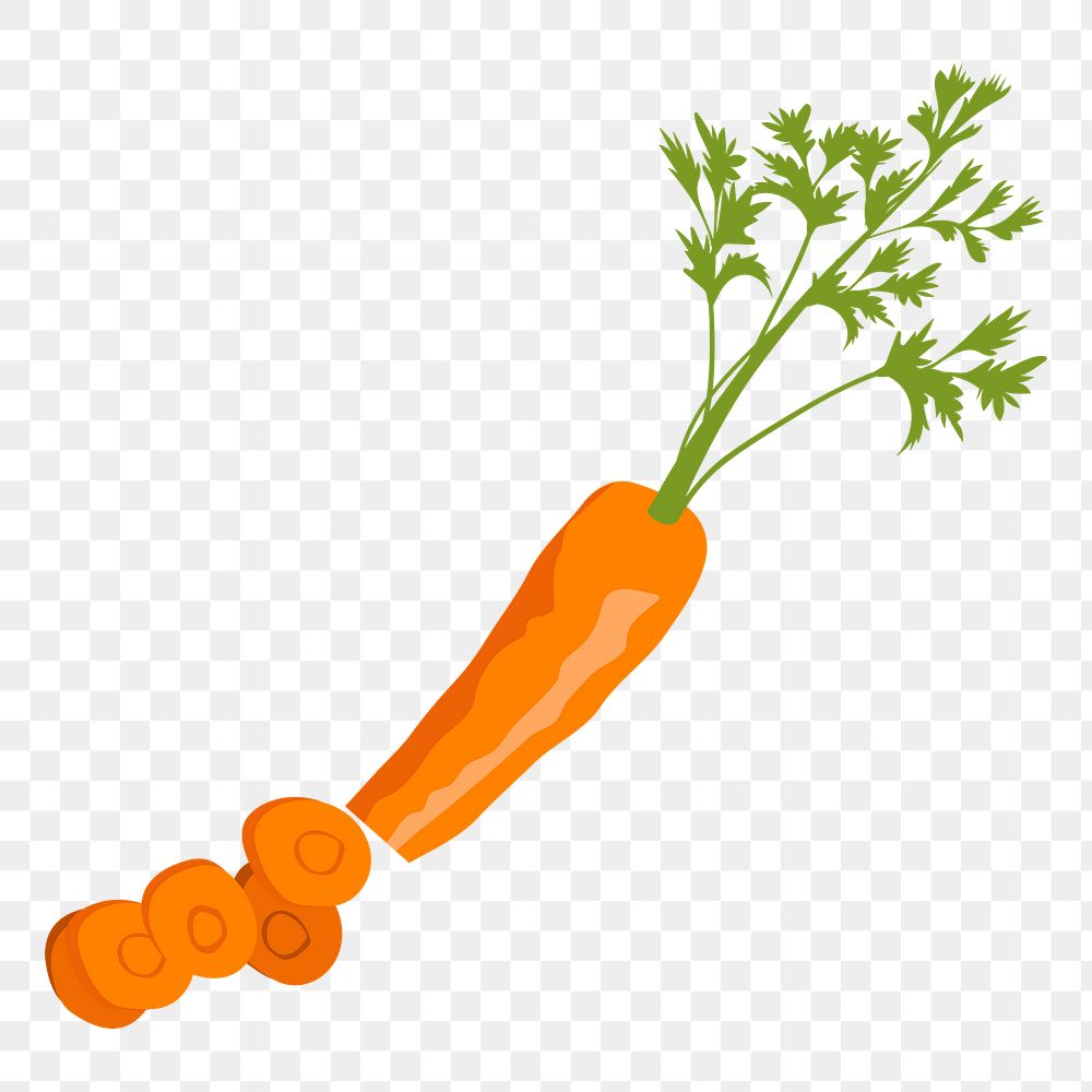 Carrot png sticker, realistic illustration, transparent background