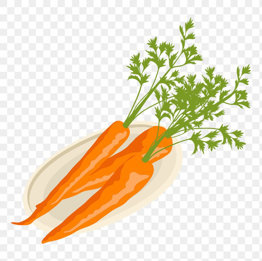 Carrots png sticker, realistic illustration, transparent background
