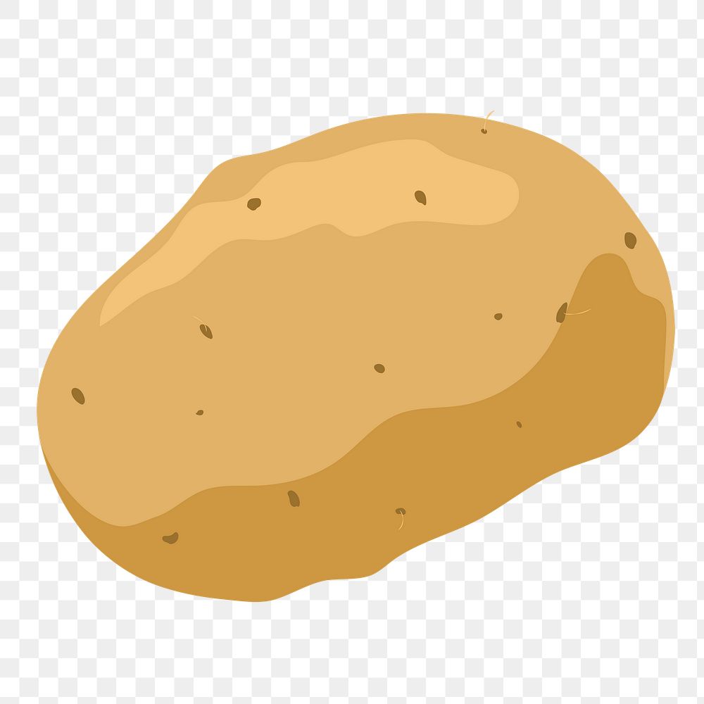 Potato png sticker, realistic illustration, transparent background