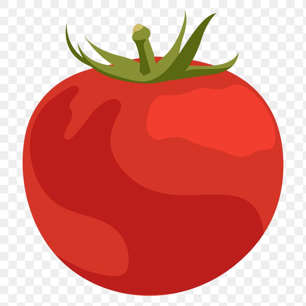 Tomato png sticker, realistic illustration, transparent background