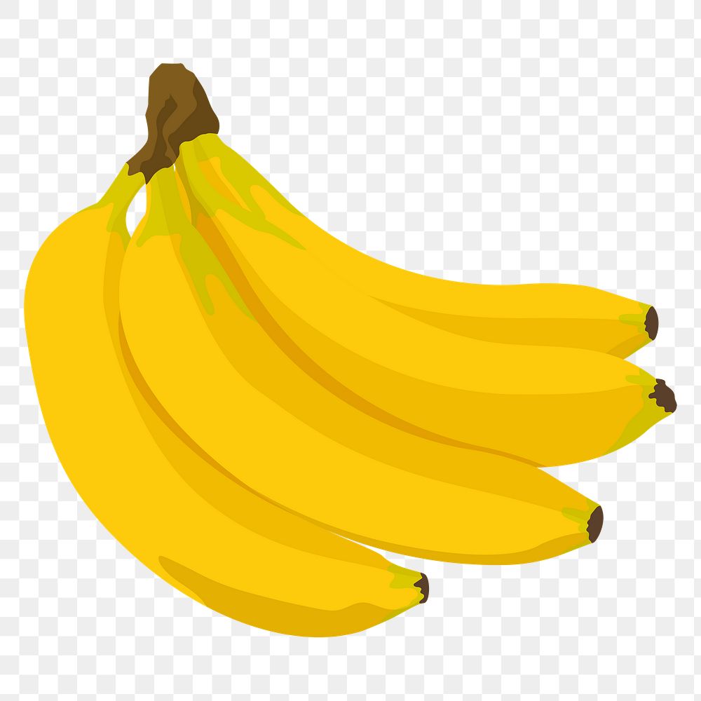Bananas png sticker, realistic illustration, transparent background