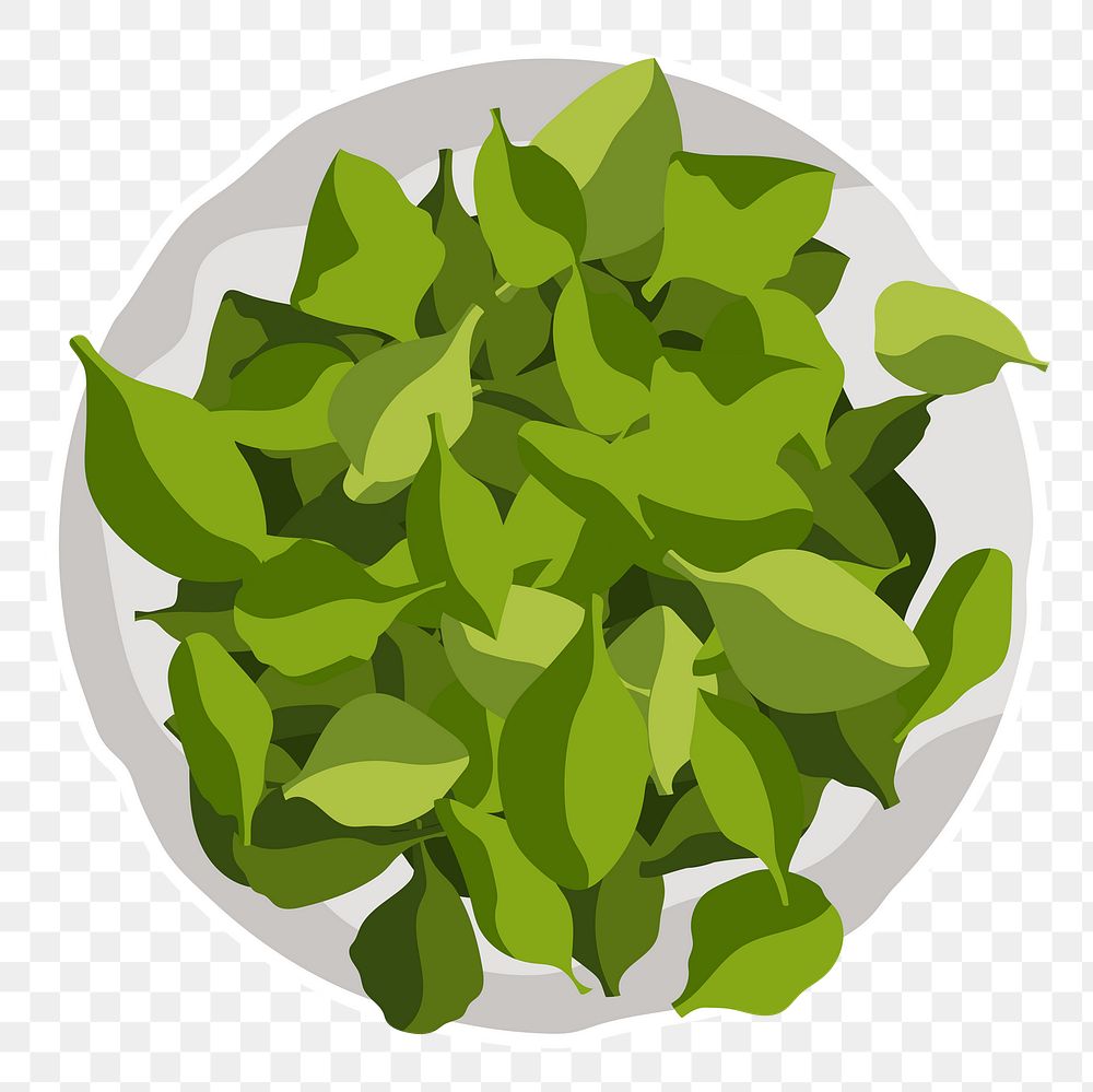 Spinach salad png sticker, realistic illustration, transparent background