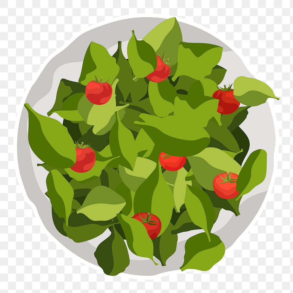 Spinach salad png sticker, realistic illustration, transparent background