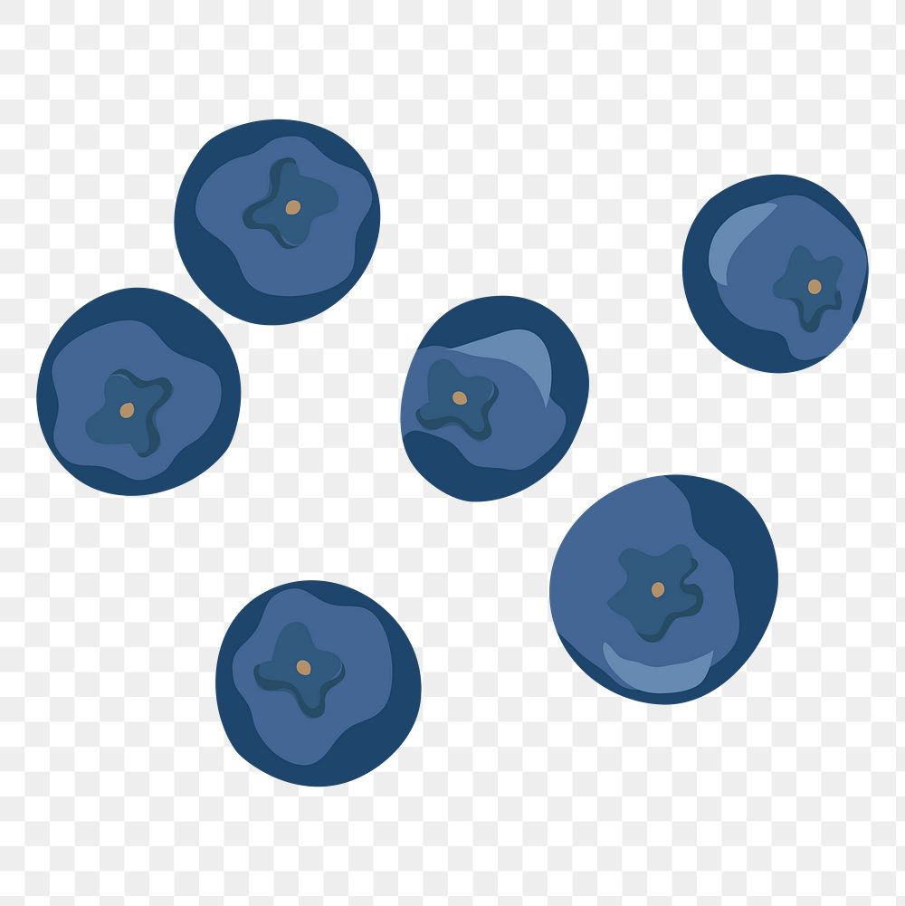 Blueberry png sticker, realistic illustration, transparent background