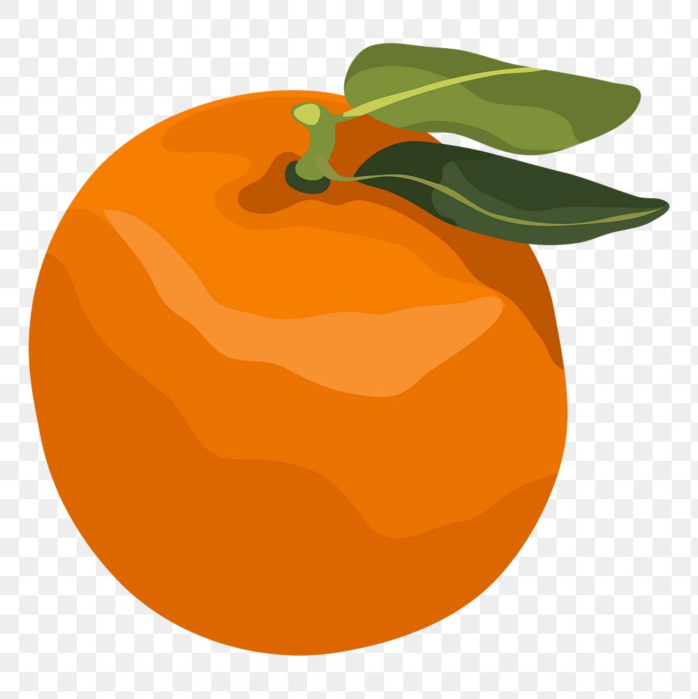 Orange png sticker, realistic illustration, transparent background