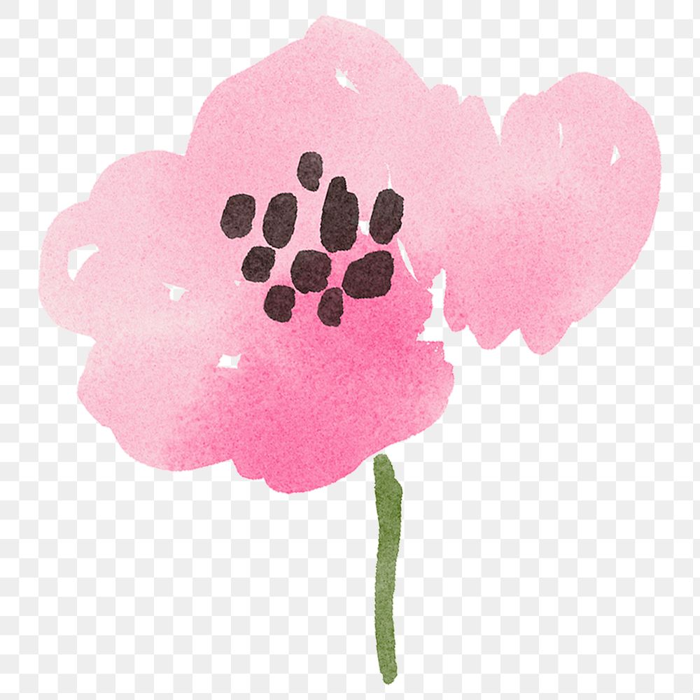 Pink flower png sticker, watercolor design, transparent background