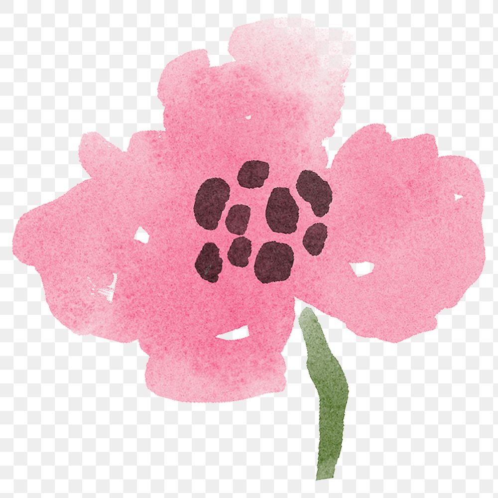 Poppy flower png sticker, watercolor design, transparent background