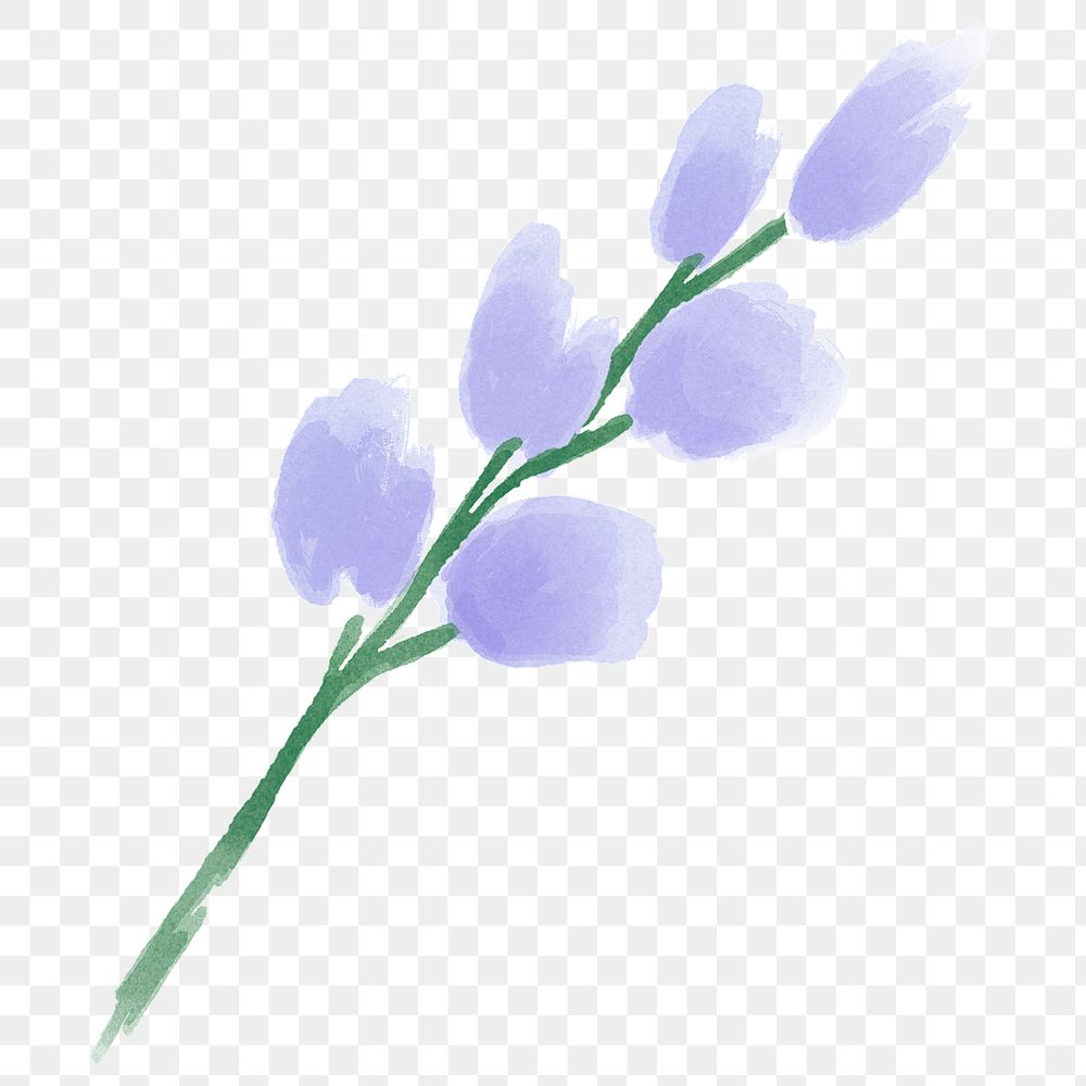 Purple flower png sticker, watercolor design, transparent background