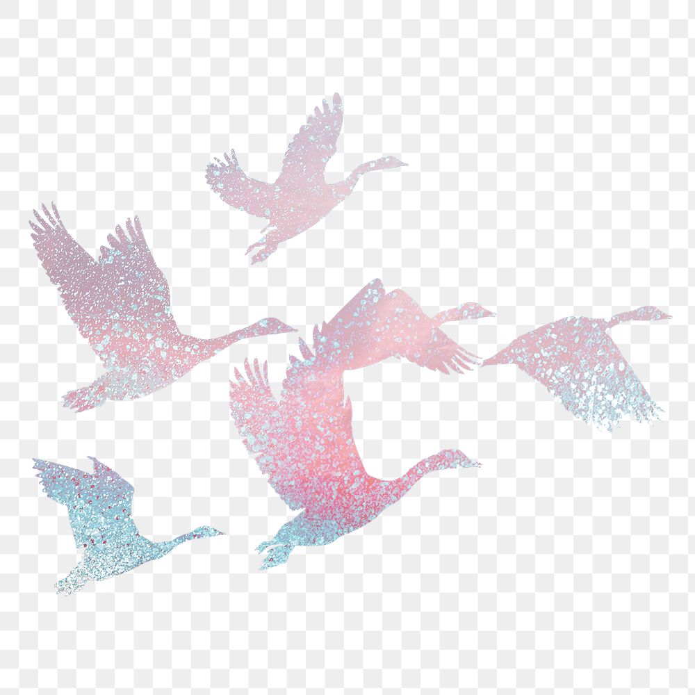 Aesthetic birds png silhouette clipart, animal illustration on transparent background