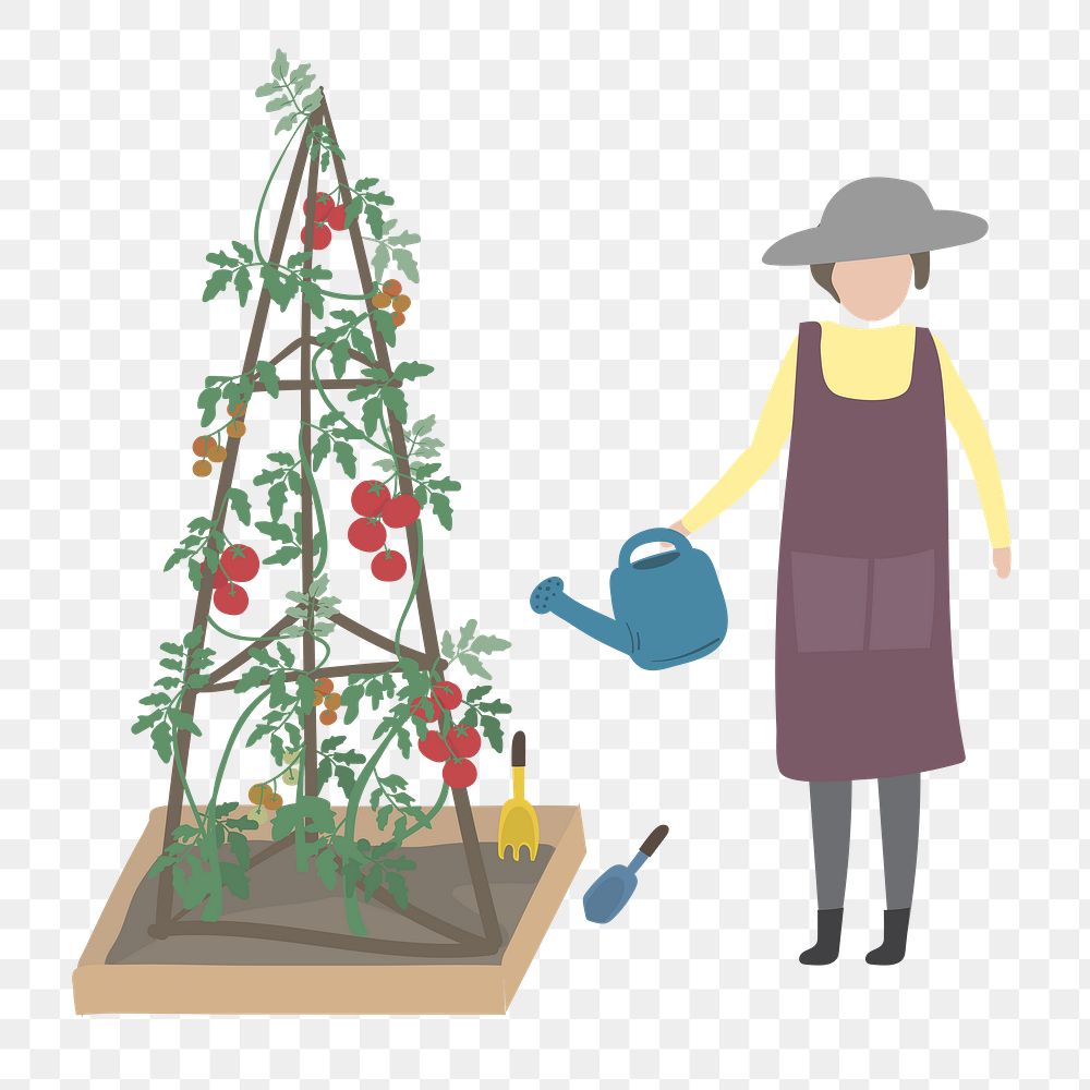 Woman watering flower png clipart, gardening hobby illustration