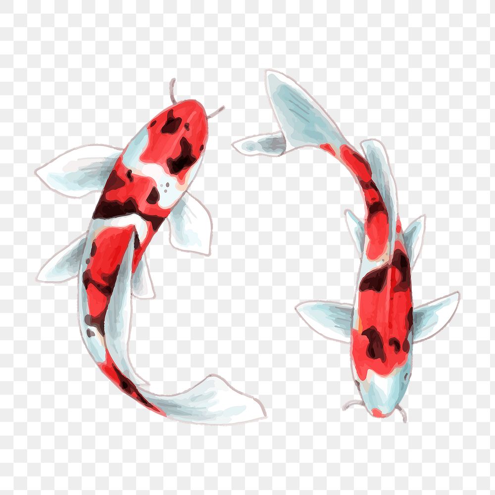 Png japanese koi fish cartoon sticker illustration
