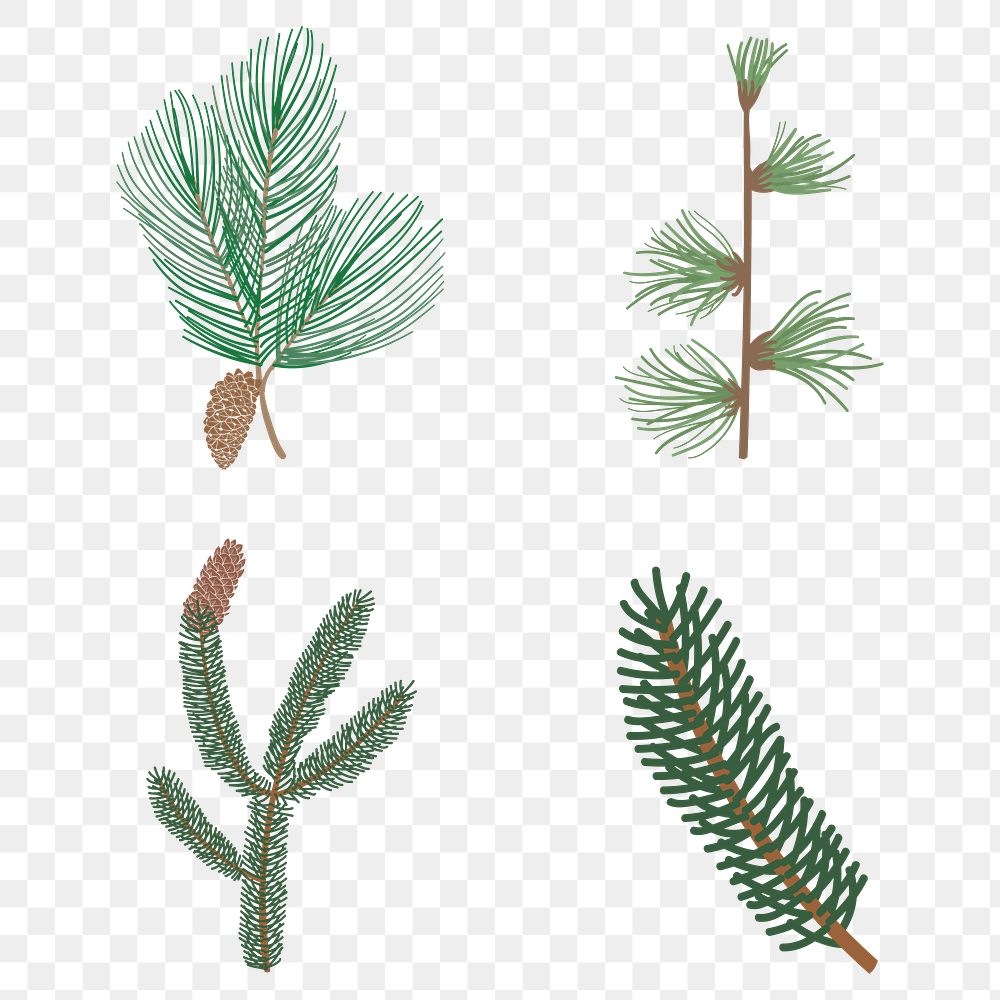 Cute pine tree sticker design element set