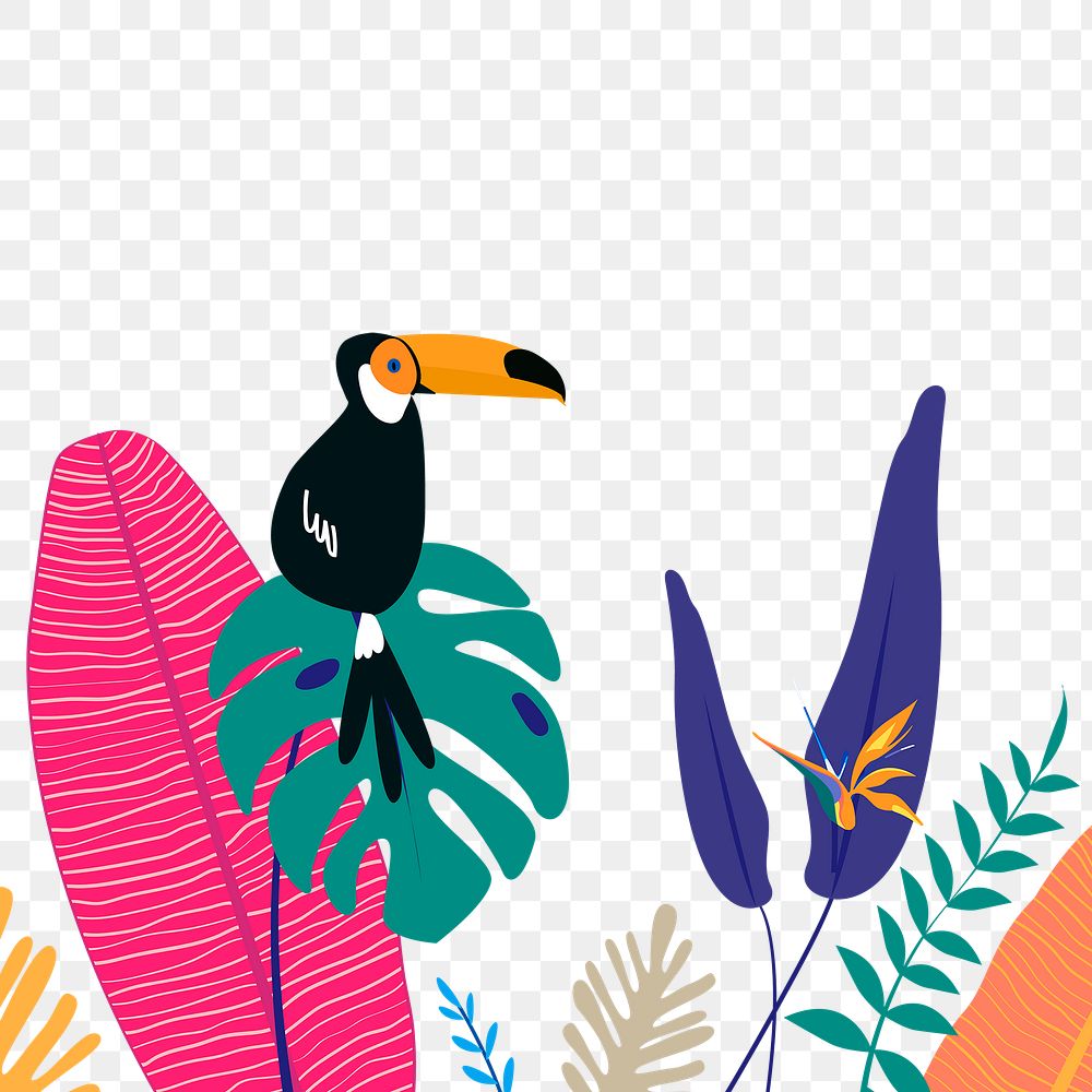 Toucan botanical border png, colorful summer aesthetic tropical background with toucan and flaming, transparent background