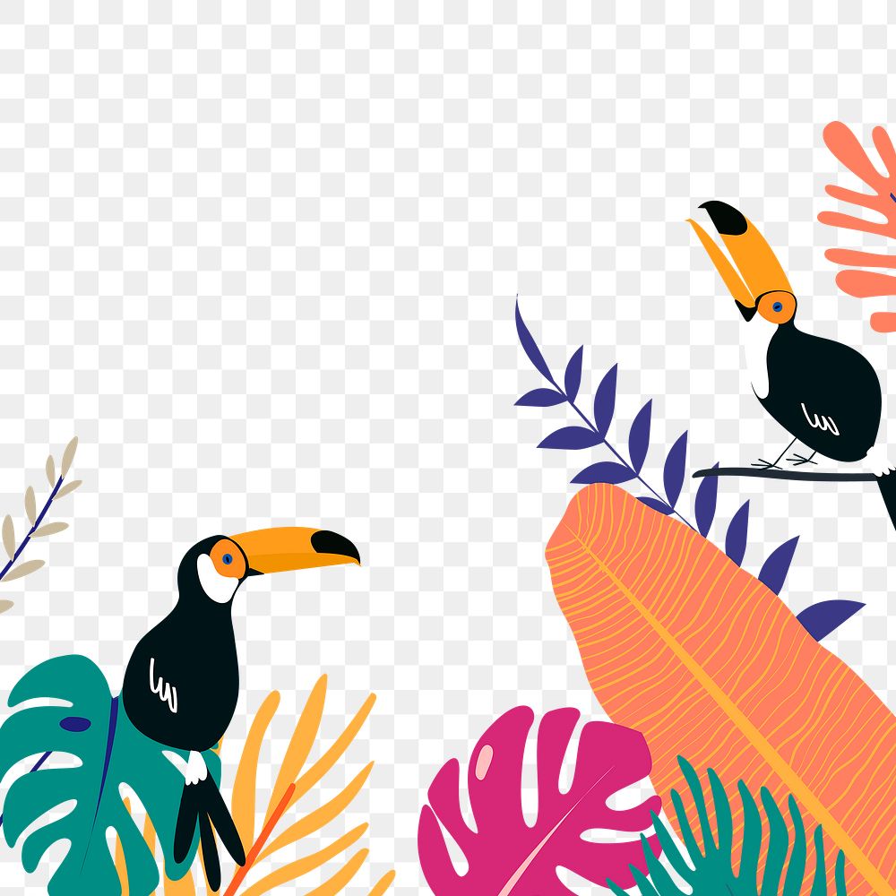 Botanical border frame png, colorful summer aesthetic tropical collage element with toucans, transparent background