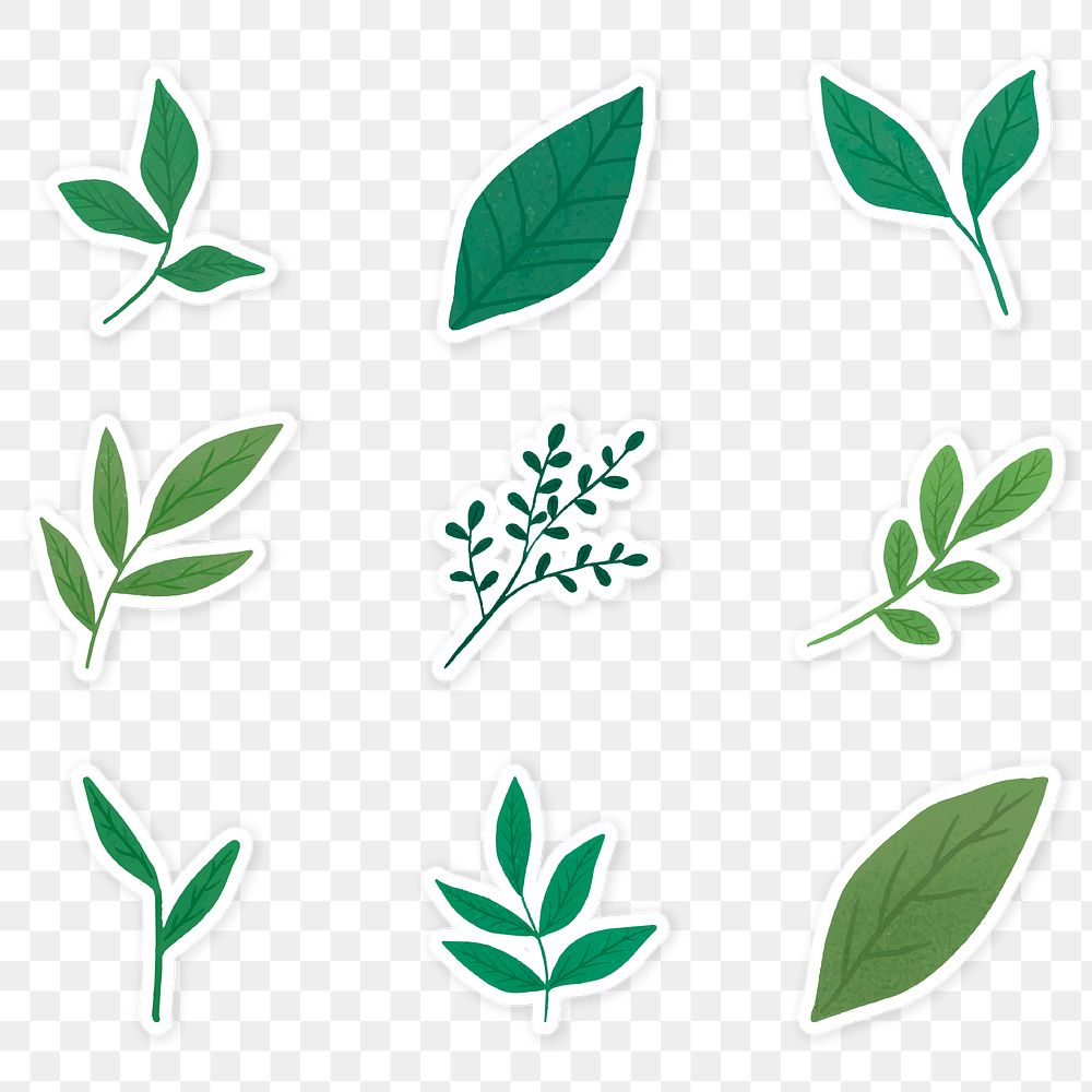 Green leaves sticker collection transparent png