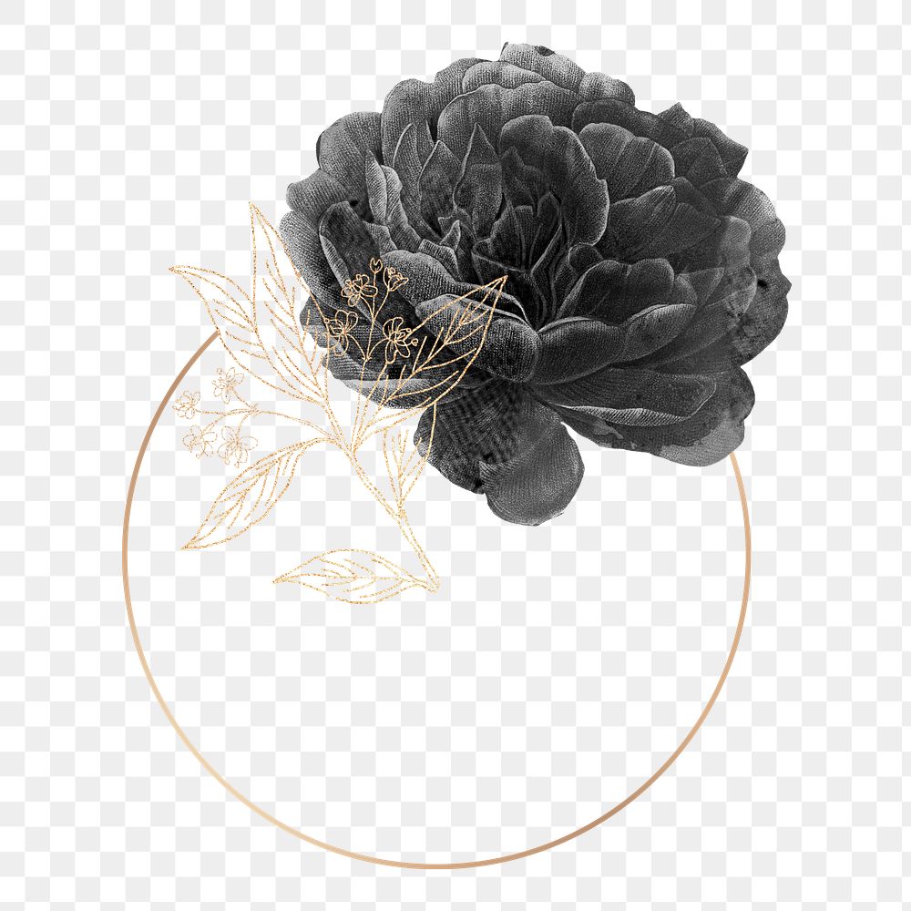 Black peony frame with gold elements