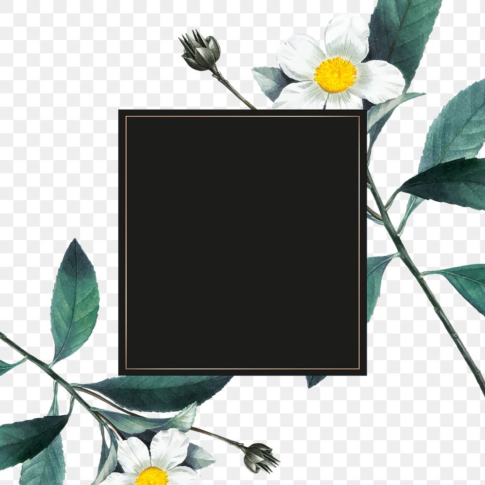 Vintage White Flower Frame Png Free Png Sticker Rawpixel