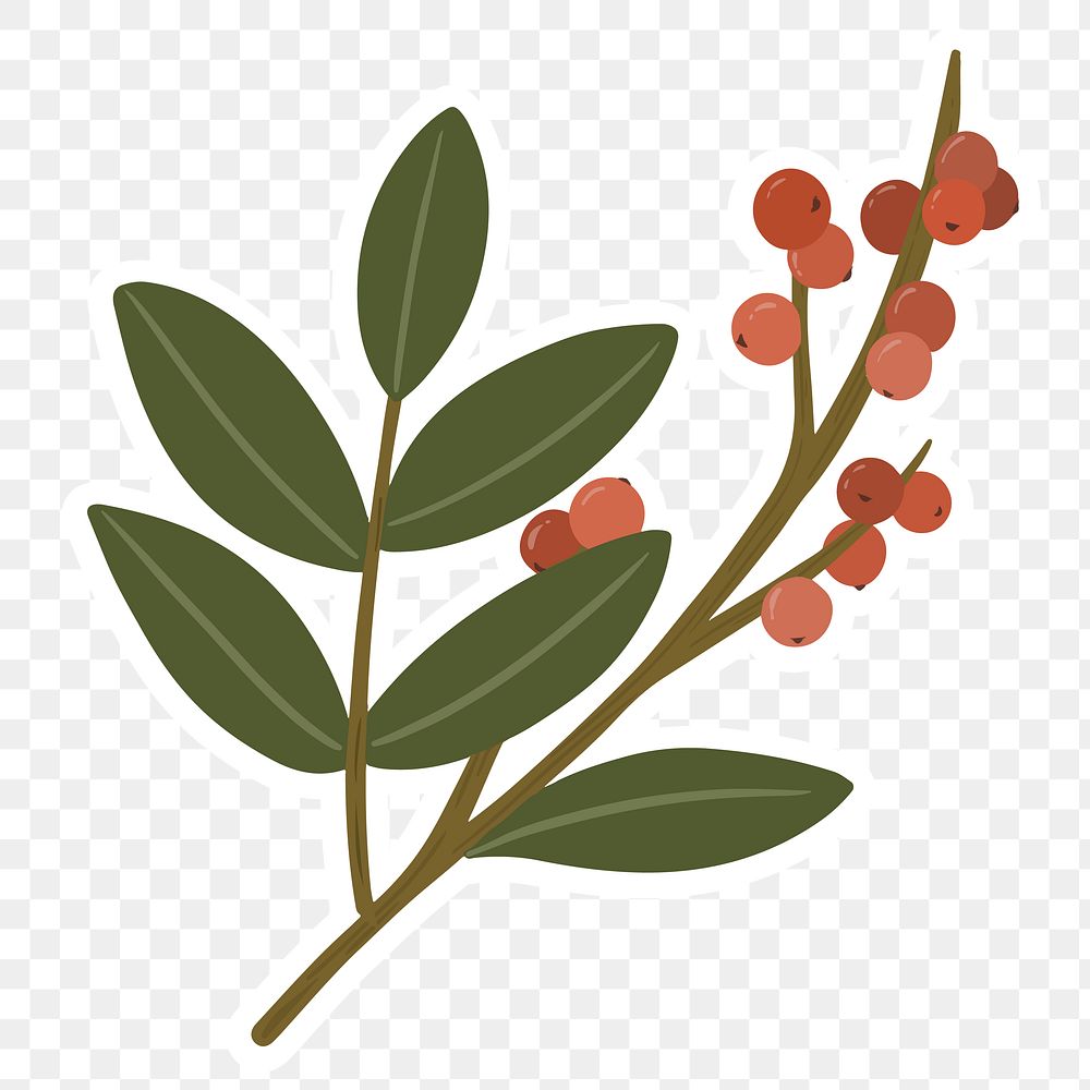 Winterberry branches element transparent png