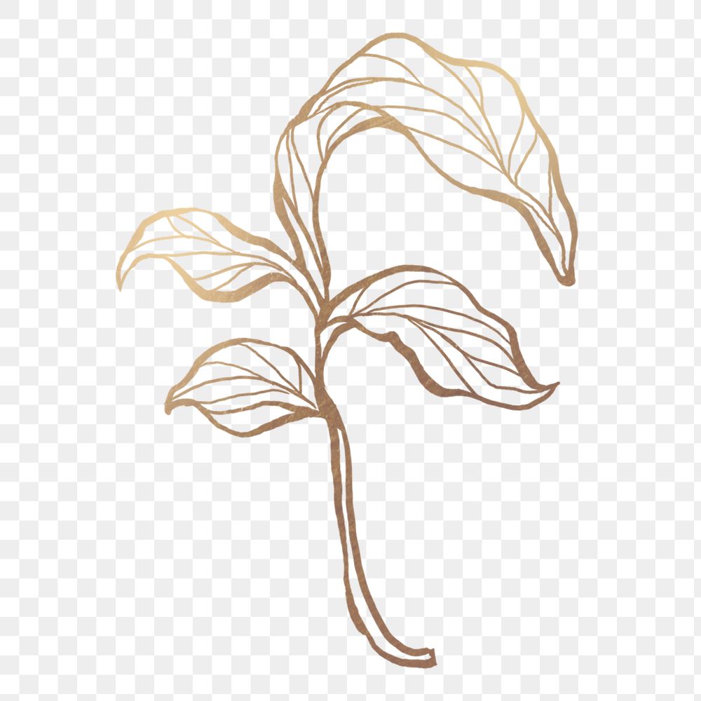 Golden Leaf Png