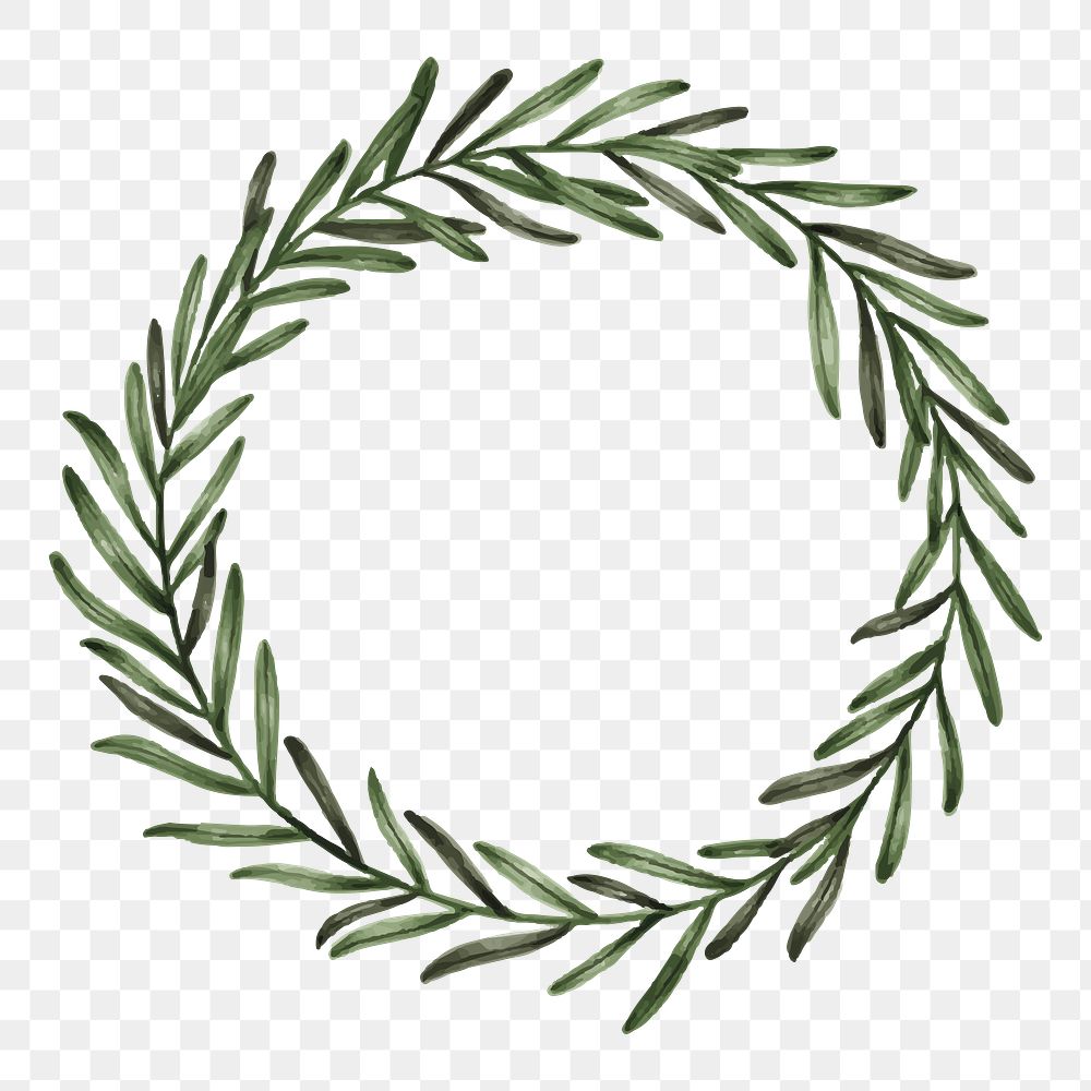 Hand drawn eucalyptus wreath transparent png