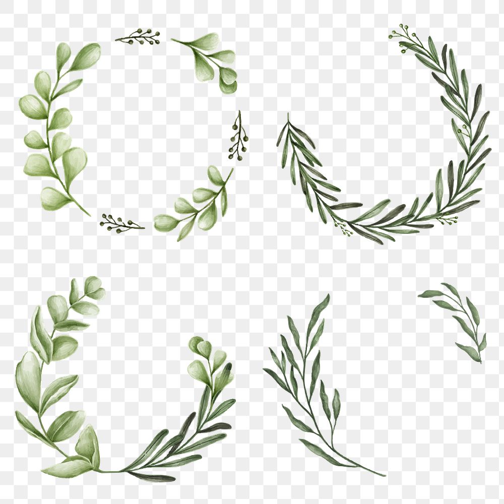 Floral wreath set transparent png