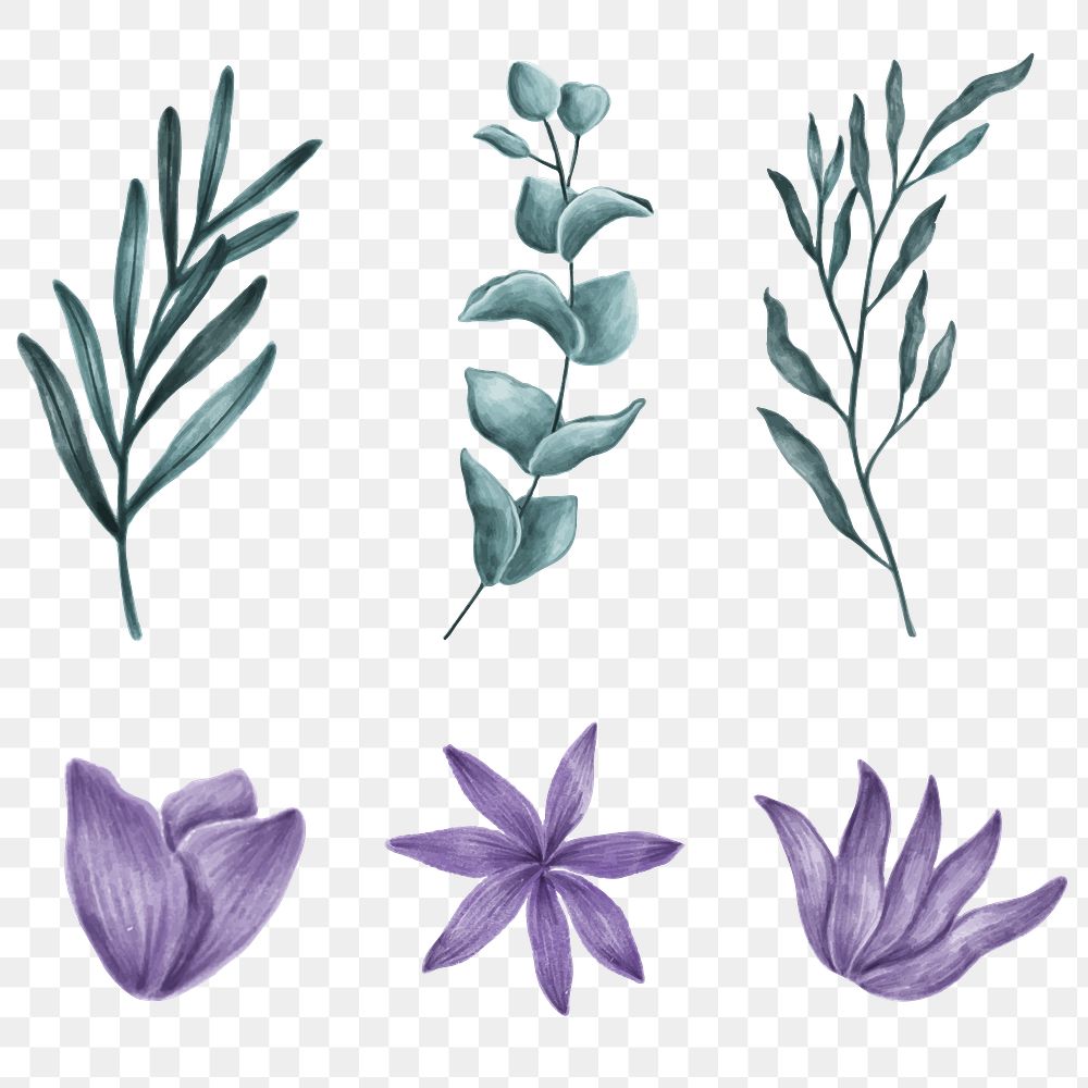 Leaf and flowers set png