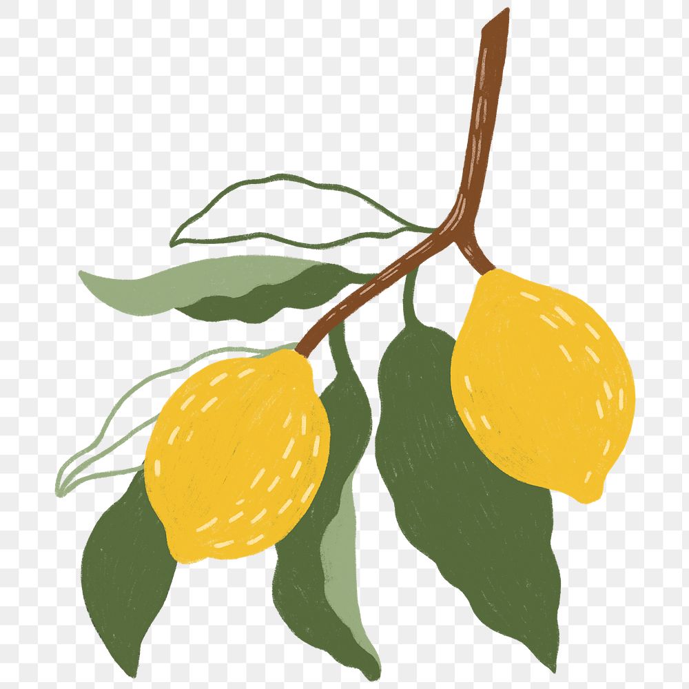 Hand drawn lemon design resource transparent png