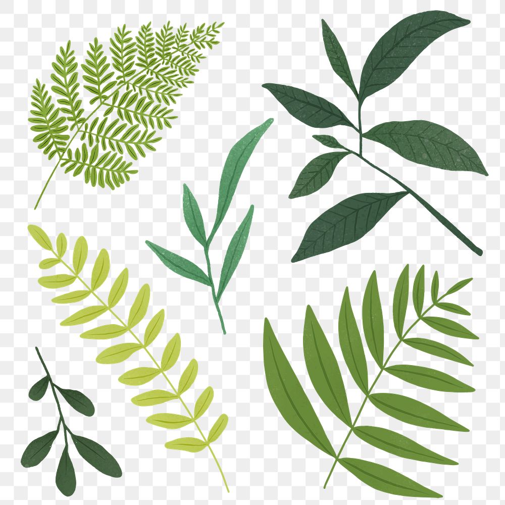 Green Leaf Design Element Set On A Beige Background Vector