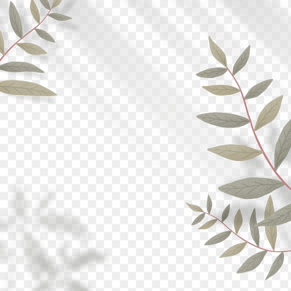 Tropical leaf and shadow frame png