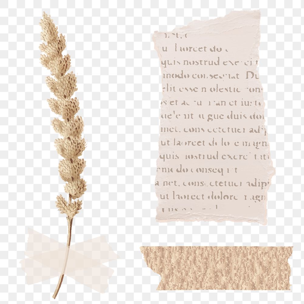 Bullet journal ornaments pack transparent png