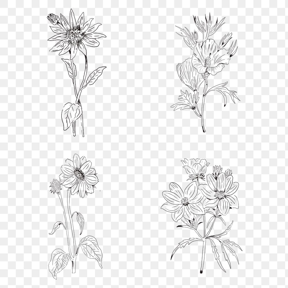 Various flower doodles set png