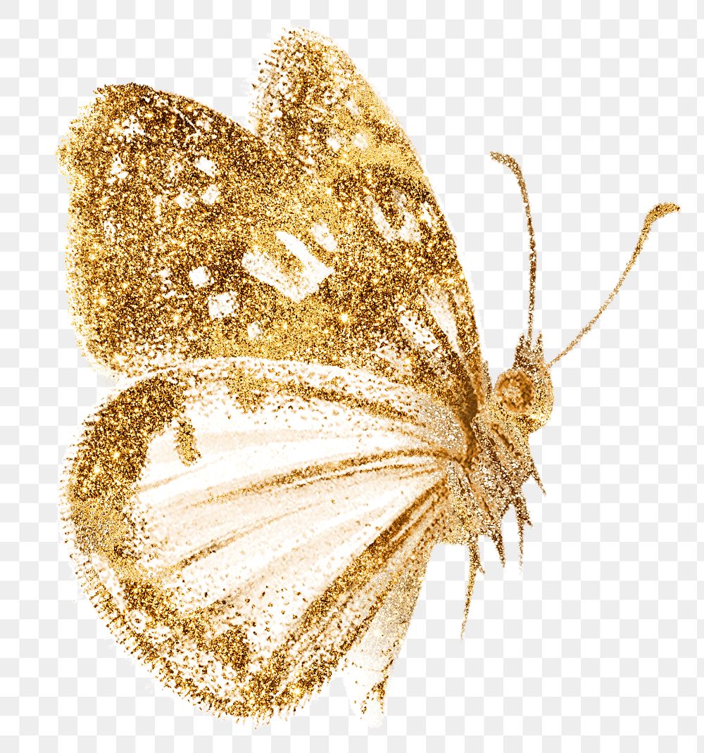 Gold butterfly png sparkly diary Premium PNG Sticker rawpixel
