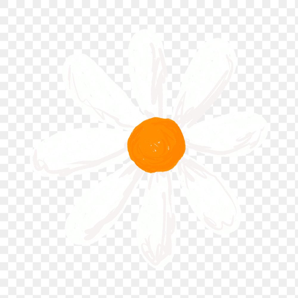 Cute daisy flower element png | Premium PNG Sticker - rawpixel Cute daisy flower element png | Premium PNG Sticker - rawpixel