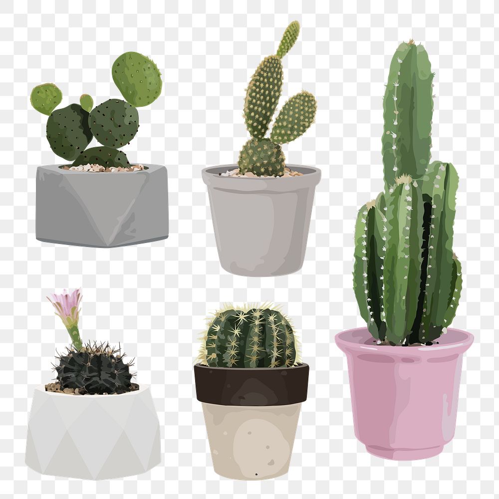 Potted plant PNG clip art set, home decoration