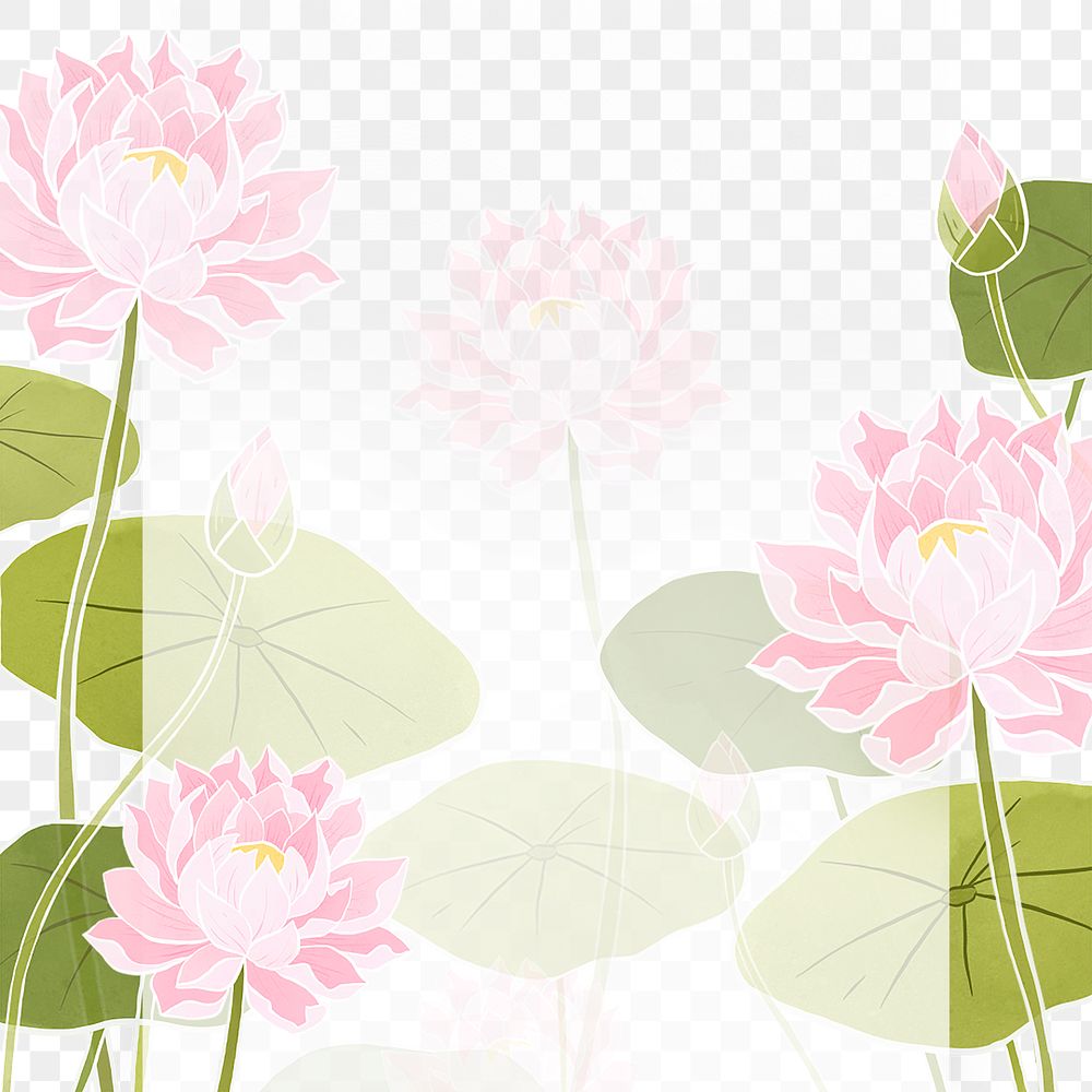 Hand-drawn png water lily frame transparent background