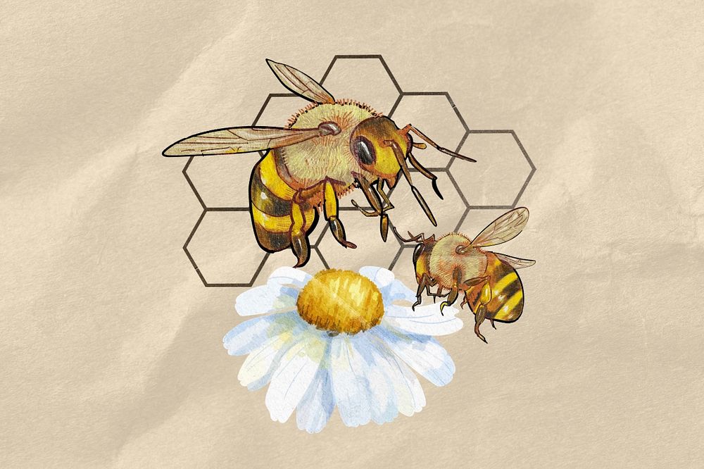 Bees and flower, creative remix, editable design