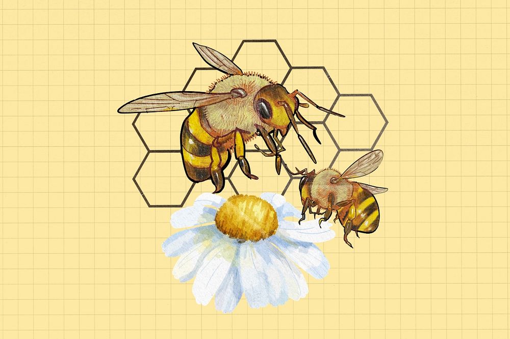 Bees and flower, creative remix, editable design