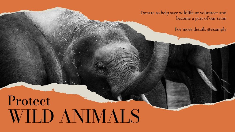 Protect wild animals blog banner template, editable text