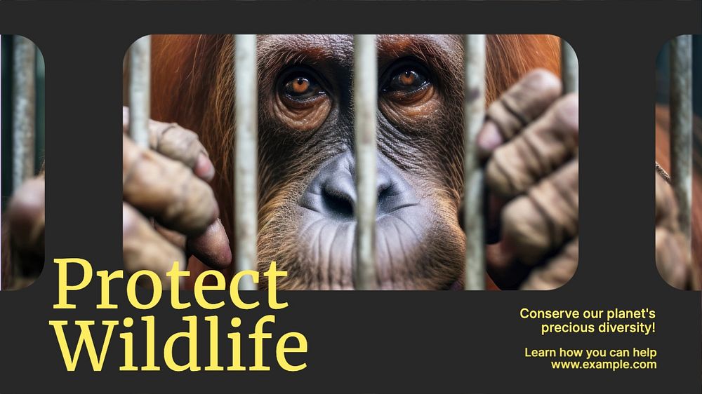 Protect wildlife blog banner template, editable text