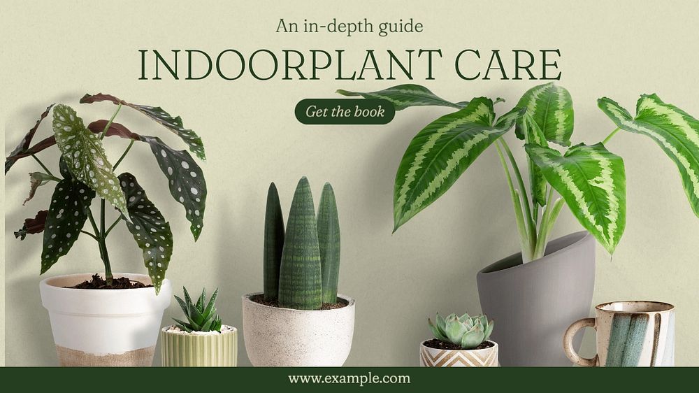 Indoor plant care blog banner template, editable text