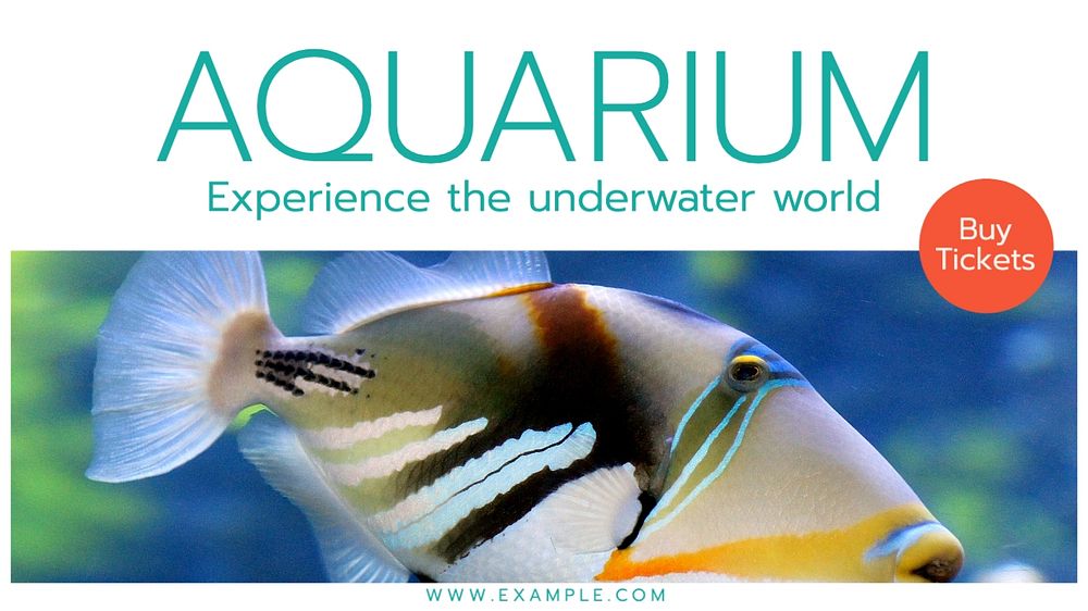 Aquarium blog banner template, editable text