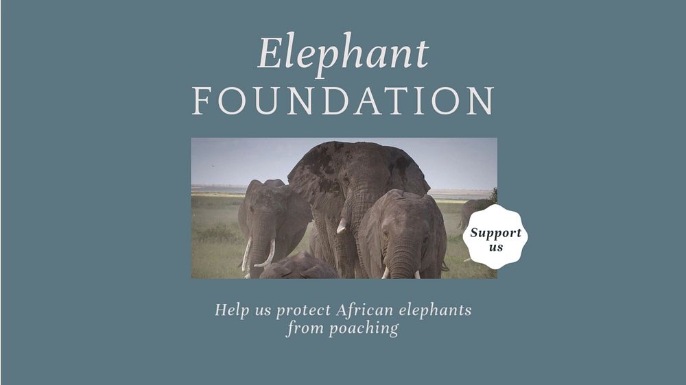 Elephant foundation blog banner template, editable design