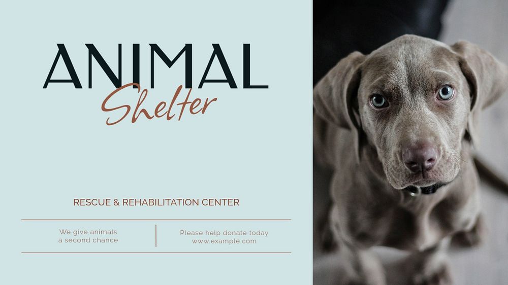 Animal shelter blog banner template, editable text