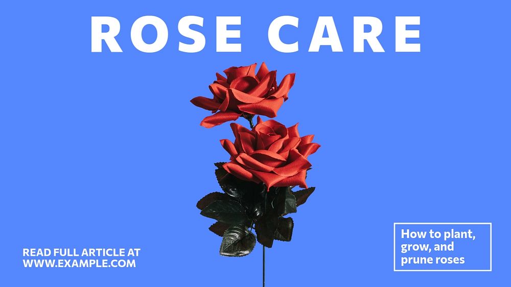 Rose care blog banner template, editable text & design