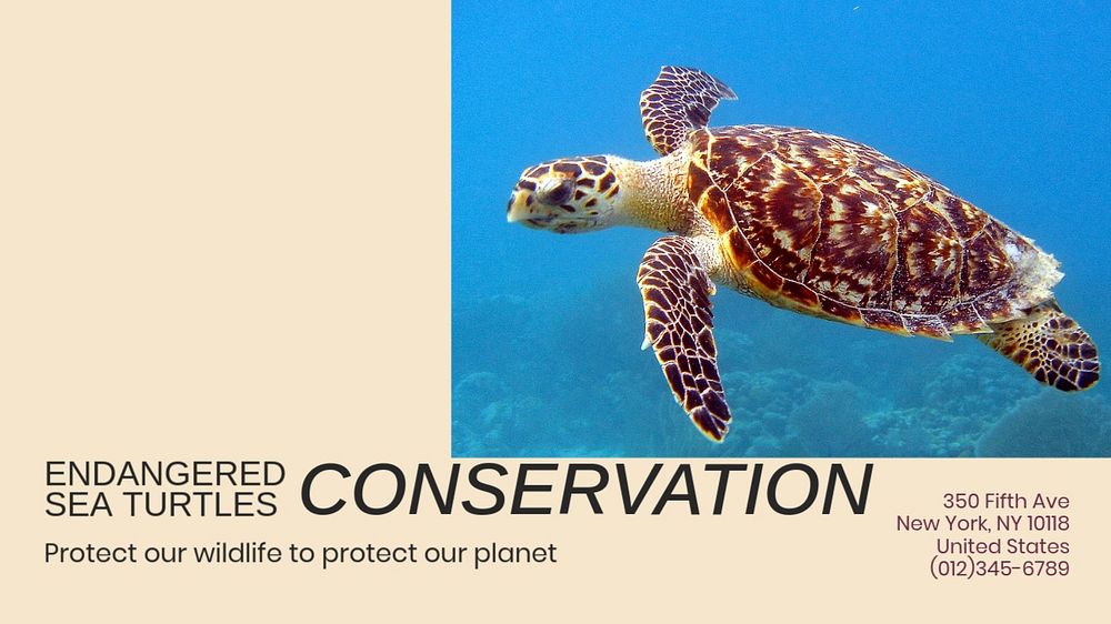 Endangered sea turtles blog banner template, editable text & design