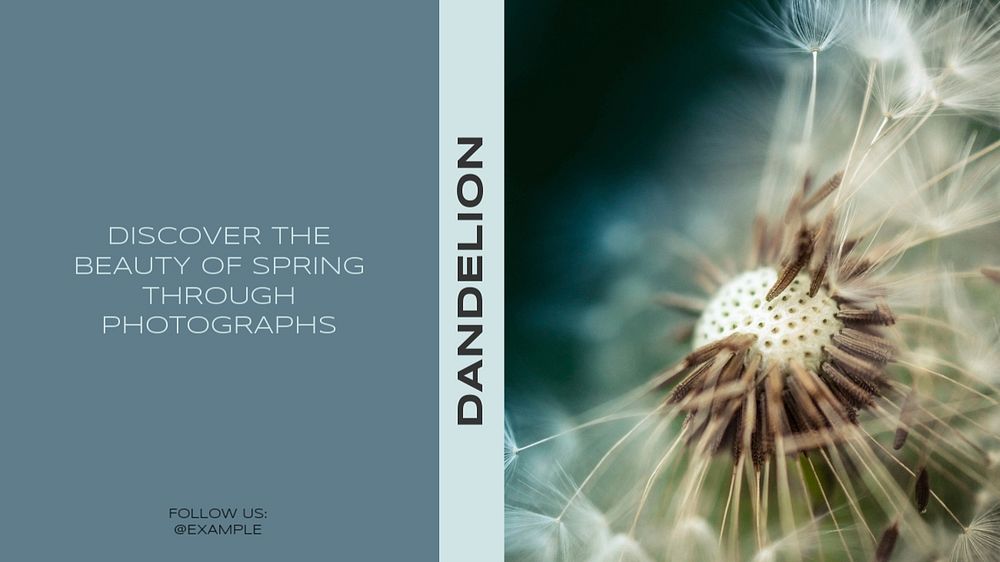 Dandelion blog banner template, editable text & design