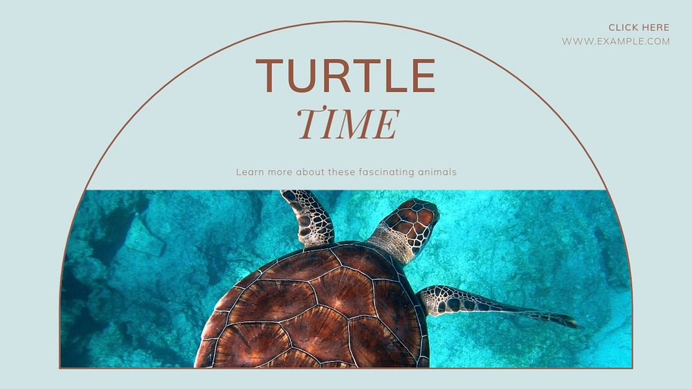 Turtles blog banner template, editable text & design